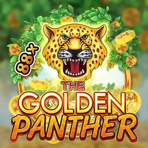 VU88 Golden Panthers