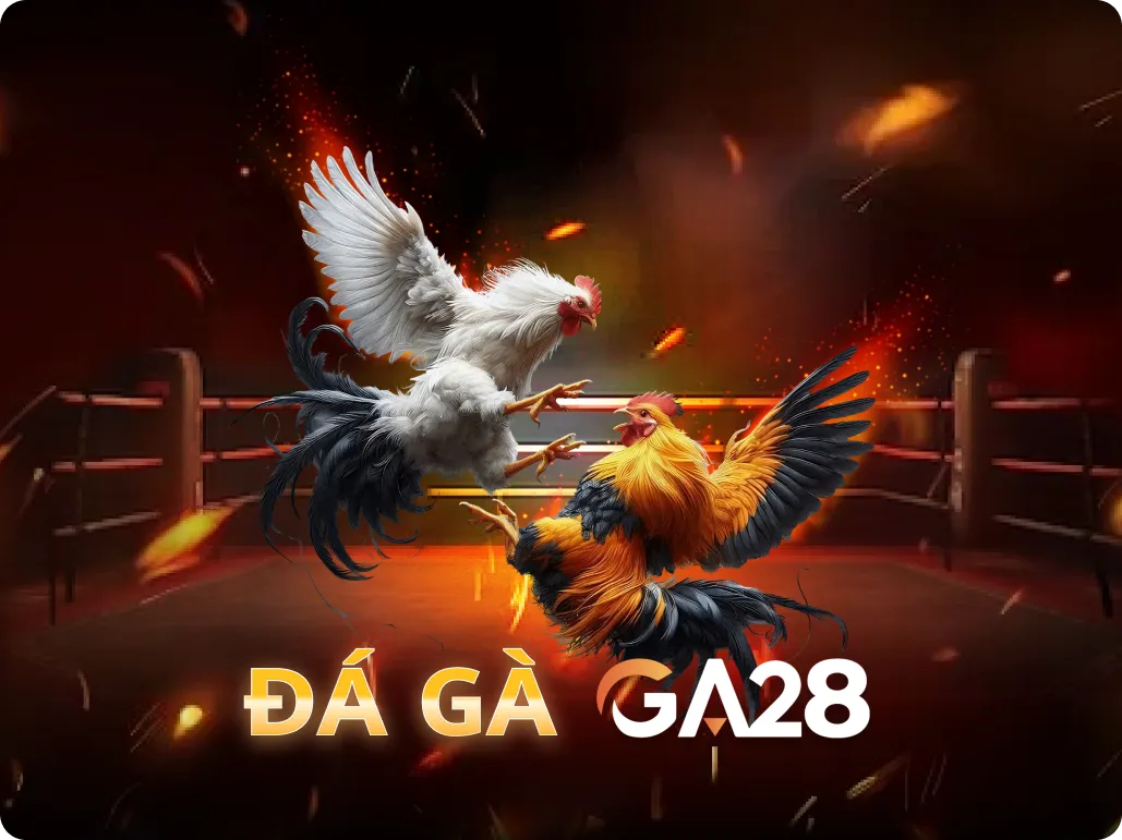 VU88 Đá Gà GA28