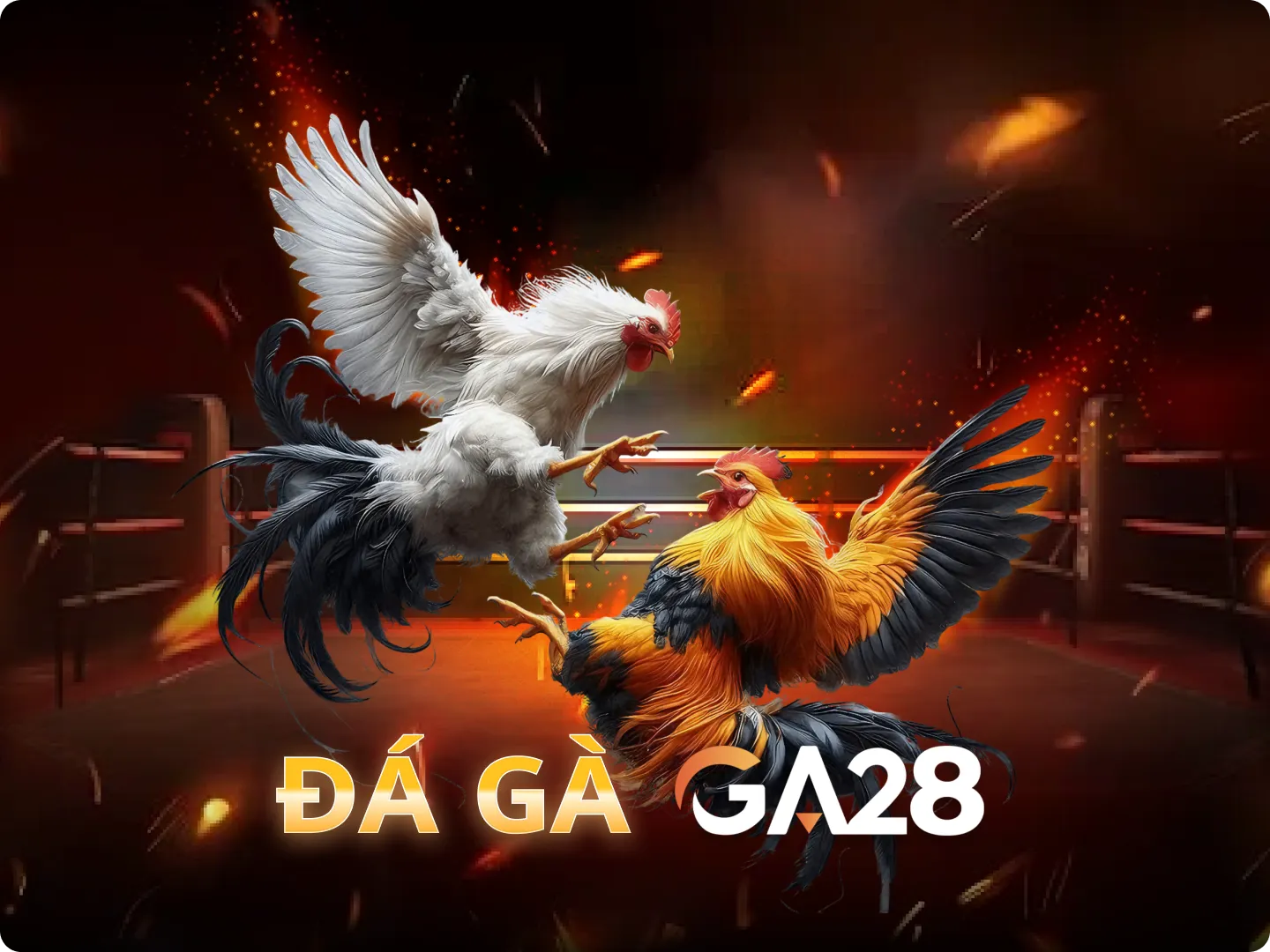 VU88 Đá Gà GA28