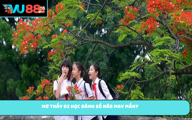Mơ thấy đi học đánh số nào may mắn?