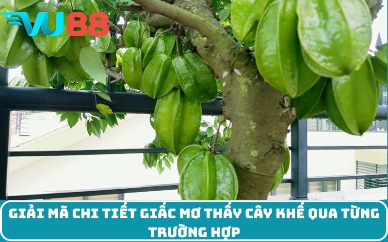 Giải mã chi tiết giấc mơ thấy cây khế qua từng trường hợp