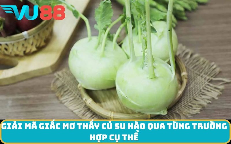 Giải mã giấc Mơ thấy Củ su hào qua từng trường hợp cụ thể