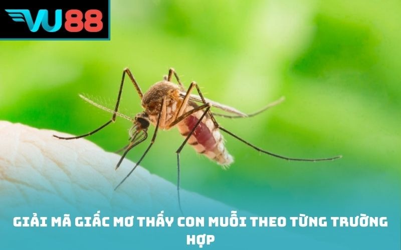 Giải mã giấc mơ thấy con muỗi theo từng trường hợp