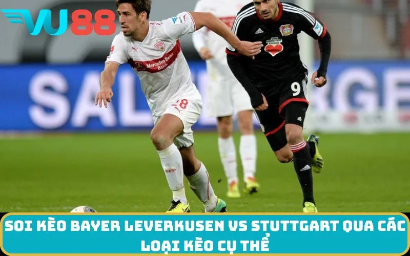 Soi kèo Bayer Leverkusen Vs Stuttgart qua các loại kèo cụ thể