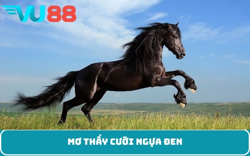 Mơ thấy cưỡi ngựa đen