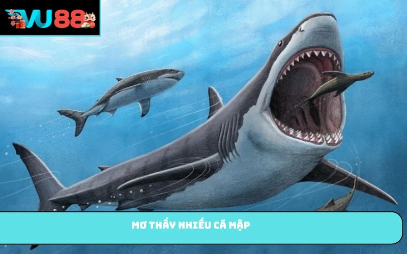 Mơ thấy nhiều cá mập