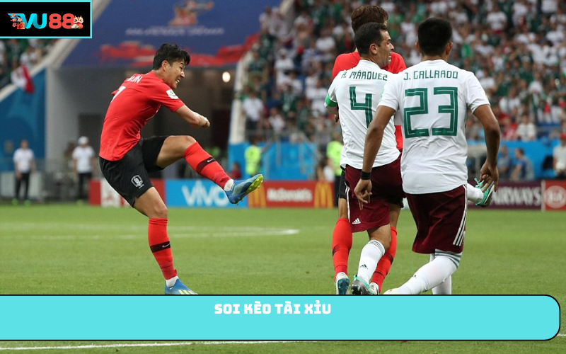 Soi kèo tài xỉu