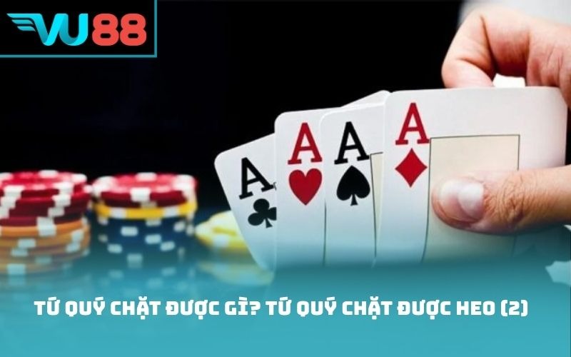 Tứ quý chặt được gì? Tứ quý chặt được heo (2)