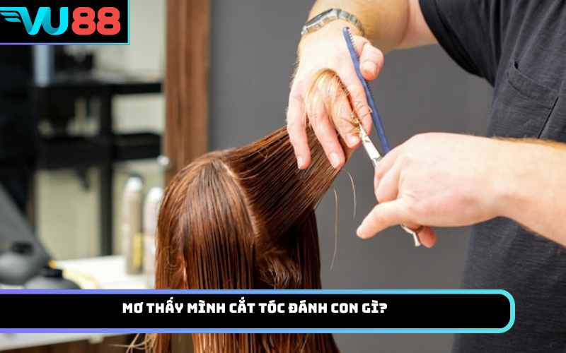 Mơ thấy mình cắt tóc đánh con gì?