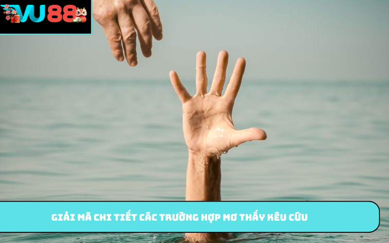 Giải mã chi tiết các trường hợp mơ thấy kêu cứu
