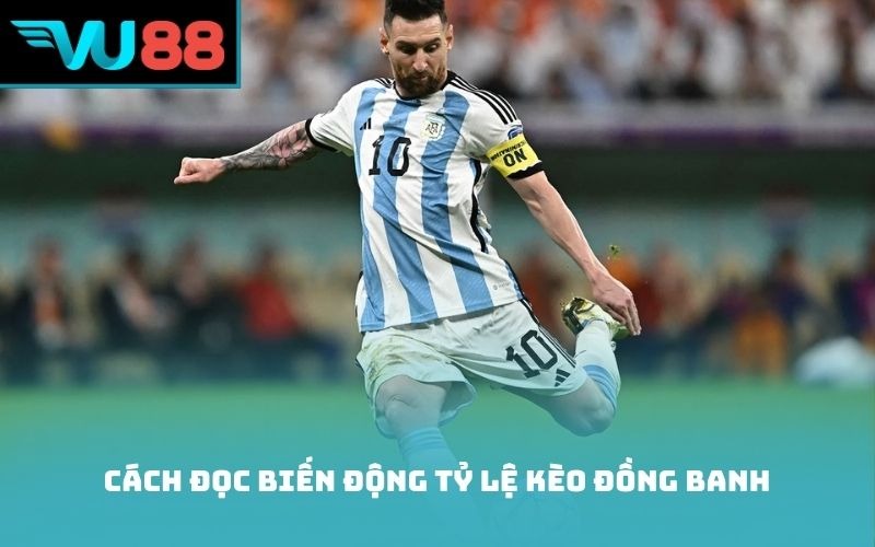 Cách đọc biến động tỷ lệ kèo đồng banh