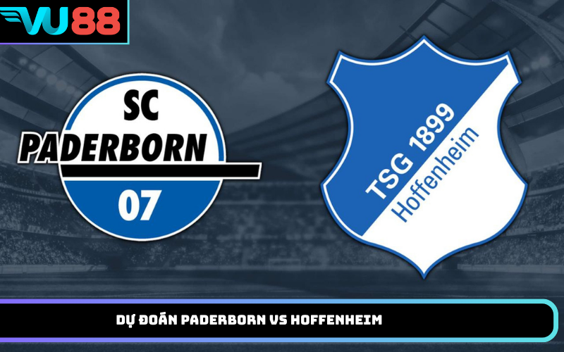 Dự đoán Paderborn vs Hoffenheim