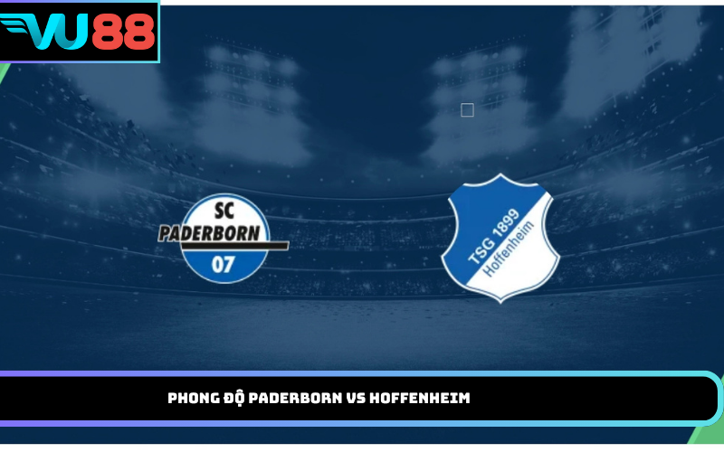 Phong độ Paderborn vs Hoffenheim
