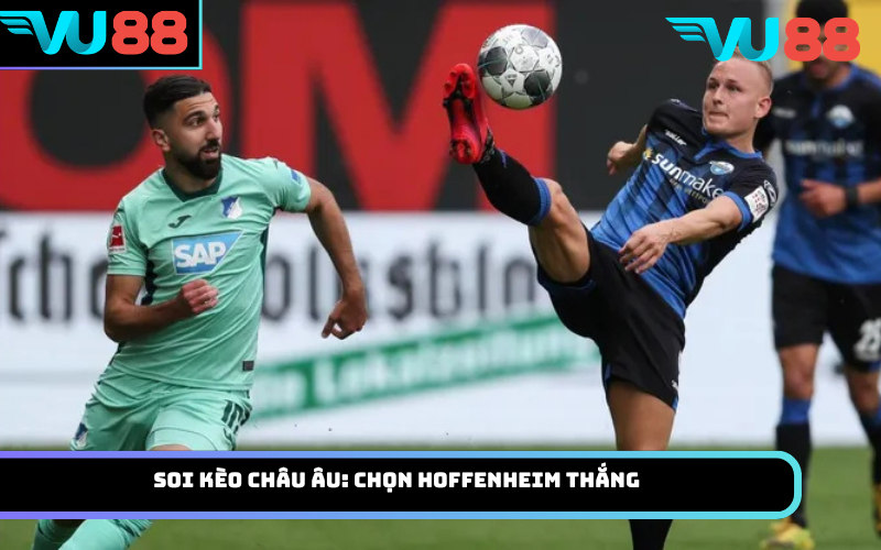 Soi kèo châu Âu: Chọn Hoffenheim thắng