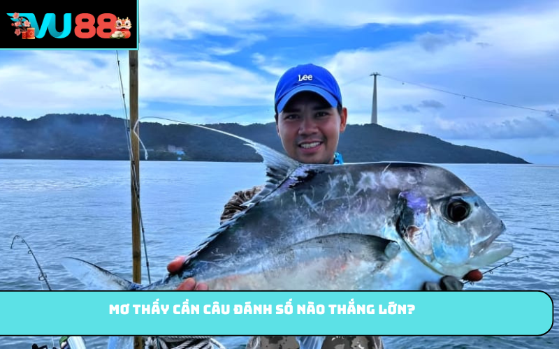 Mơ thấy cần câu đánh số nào thắng lớn?