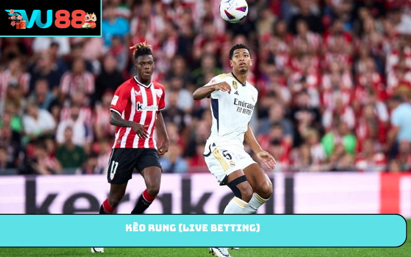 Kèo rung (live betting)