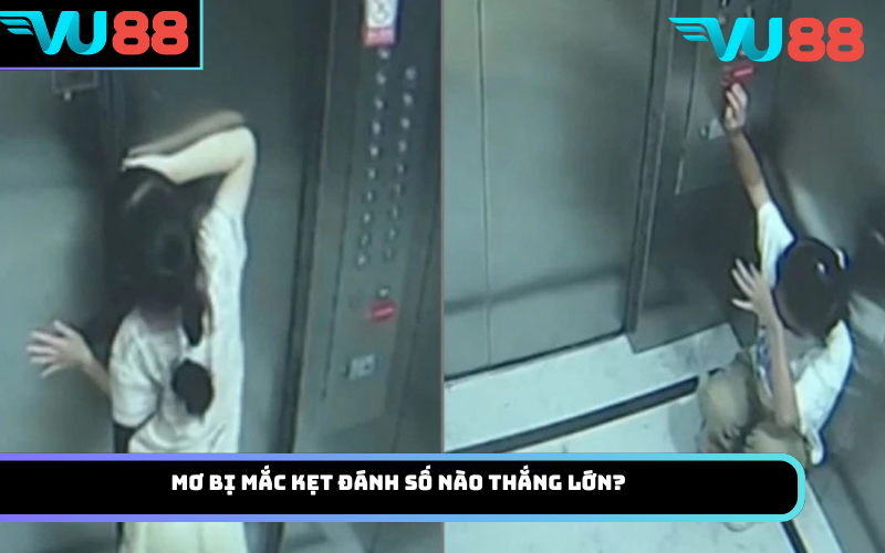 Mơ bị mắc kẹt đánh số nào thắng lớn?