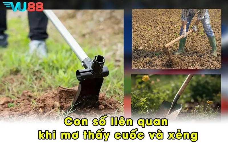 Con số liên quan khi mơ thấy cuốc và xẻng