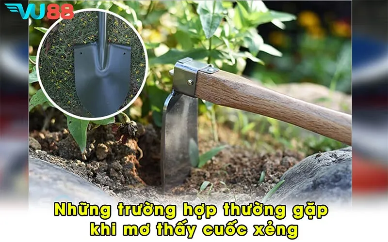 Những trường hợp thường gặp khi mơ thấy cuốc xẻng
