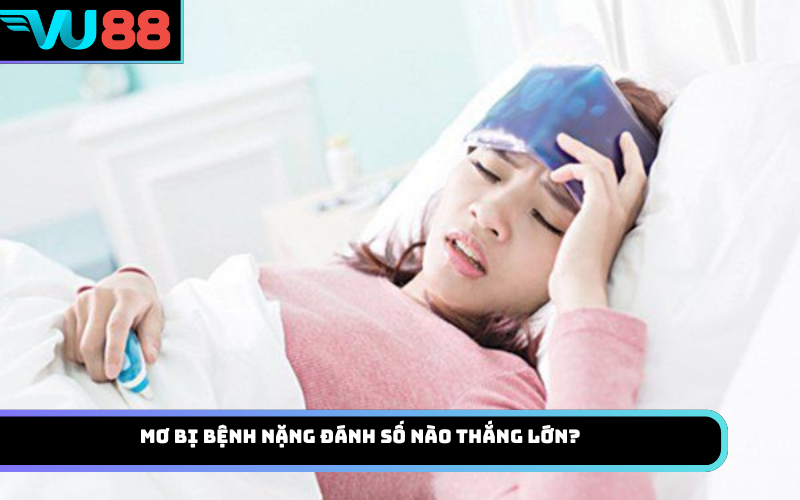 Mơ bị bệnh nặng đánh số nào thắng lớn?