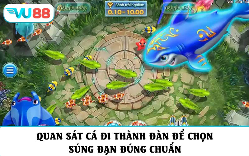 Quan sát cá đi thành đàn để chọn súng đạn đúng chuẩn