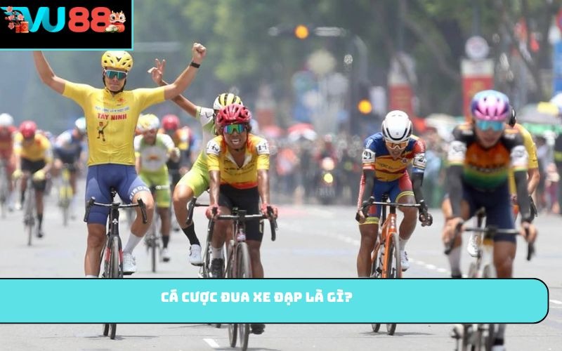 Cá cược đua xe đạp là gì?