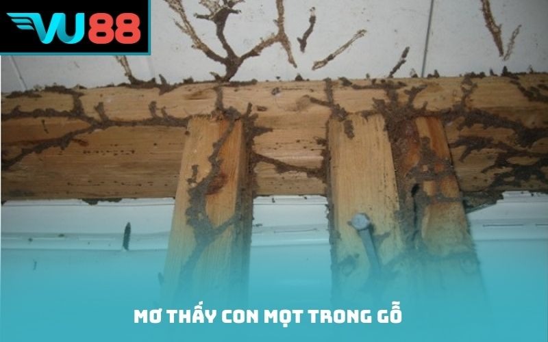 Mơ thấy con mọt trong gỗ