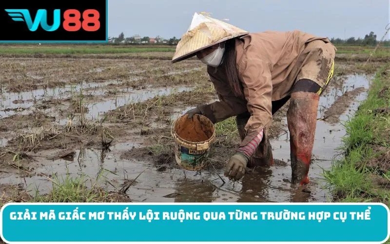 Giải mã giấc Mơ thấy lội ruộng qua từng trường hợp cụ thể
