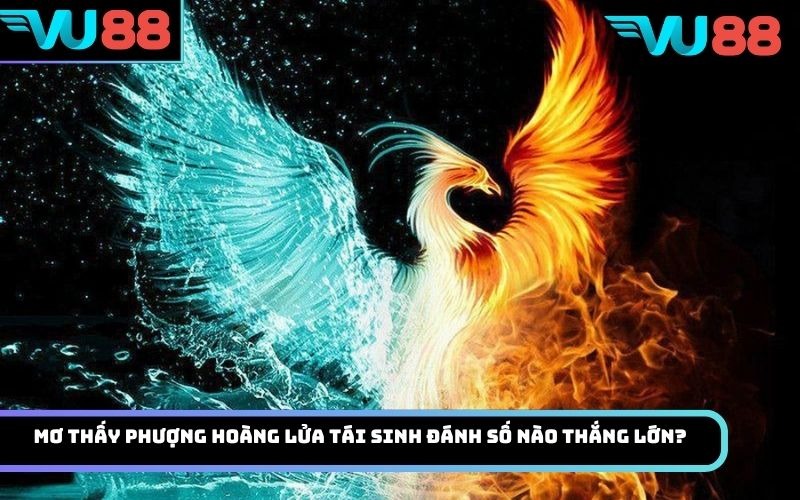 Mơ thấy phượng hoàng lửa tái sinh đánh số nào thắng lớn?