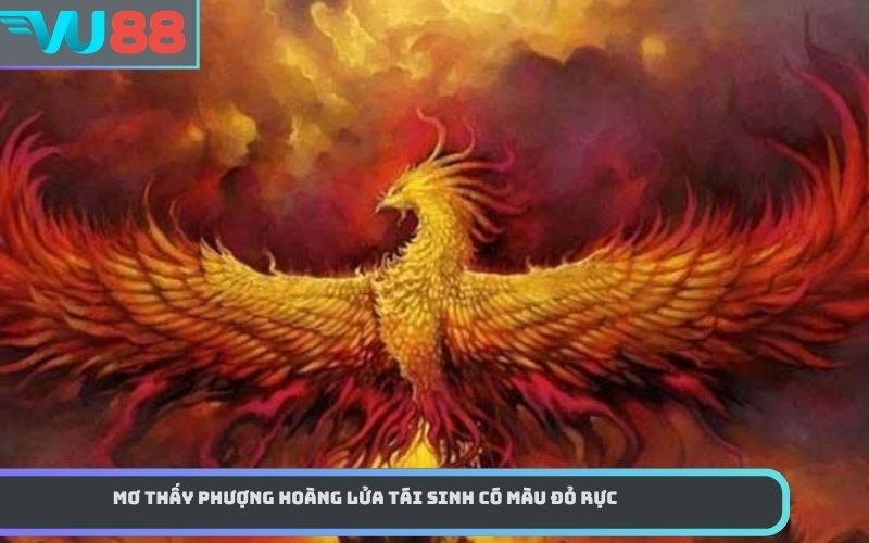 Mơ thấy phượng hoàng lửa tái sinh có màu đỏ rực