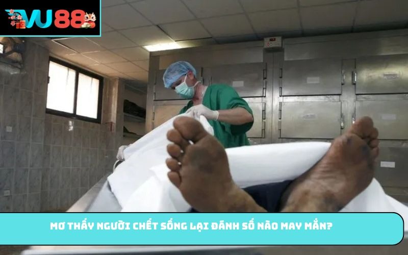 Mơ thấy người chết sống lại đánh số nào may mắn?