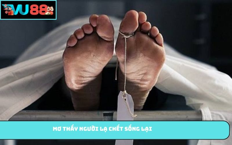 Mơ thấy người lạ chết sống lại