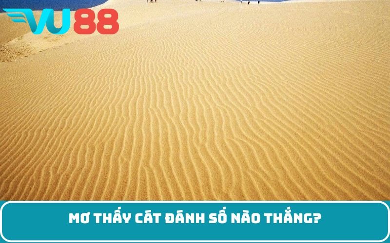Mơ thấy cát đánh số nào thắng?