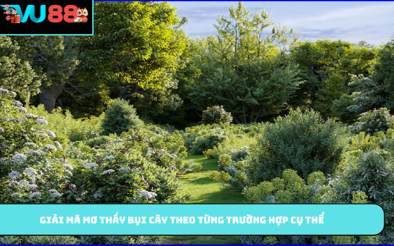 Giải mã mơ thấy bụi cây theo từng trường hợp cụ thể