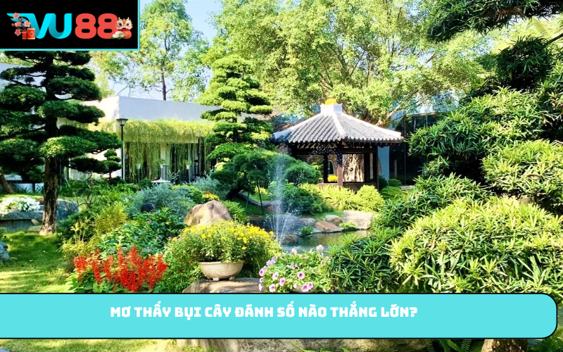 Mơ thấy bụi cây đánh số nào thắng lớn?