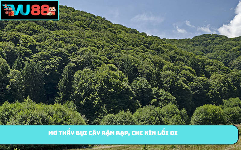 Mơ thấy bụi cây rậm rạp, che kín lối đi