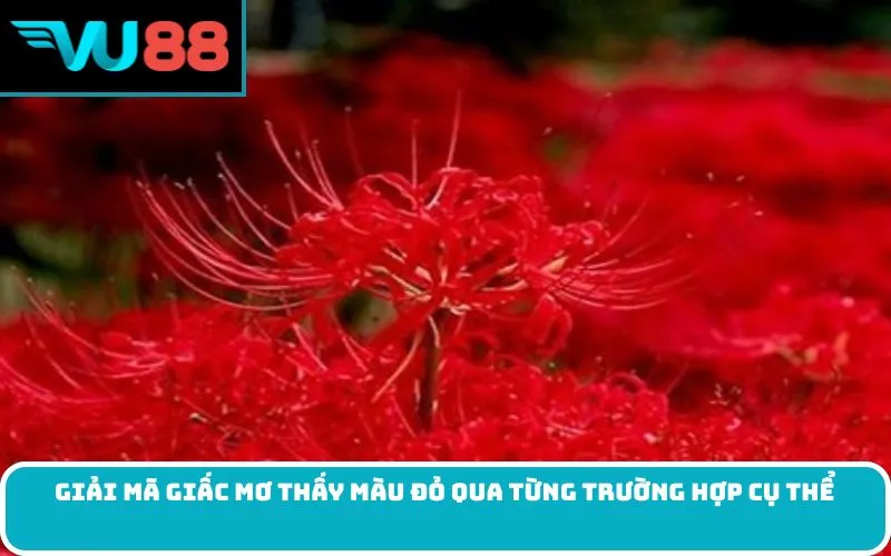 Giải mã giấc mơ thấy màu đỏ qua từng trường hợp cụ thể