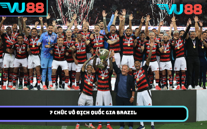 7 chức vô địch quốc gia Brazil