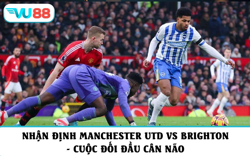 Nhận định và soi kèo Manchester Utd vs Brighton - Cuộc đối đầu cân não