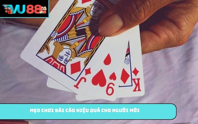 Mẹo chơi bài cào hiệu quả cho người mới