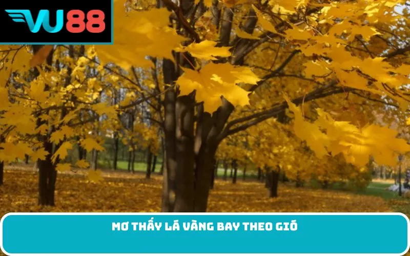 Mơ thấy lá vàng bay theo gió