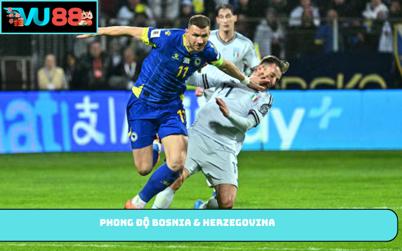 Phong độ Bosnia & Herzegovina 