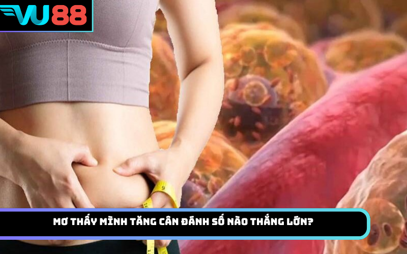 Mơ thấy mình tăng cân đánh số nào thắng lớn?