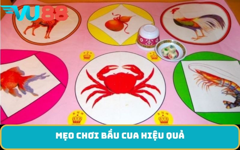 Mẹo chơi bầu cua hiệu quả