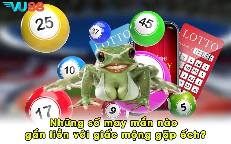 Những số may mắn nào gắn liền với giấc mộng gặp ếch?