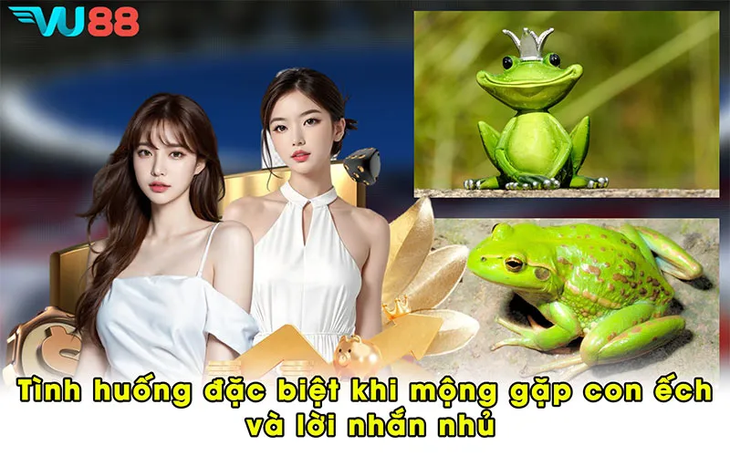 Tình huống đặc biệt khi mộng gặp con ếch và lời nhắn nhủ