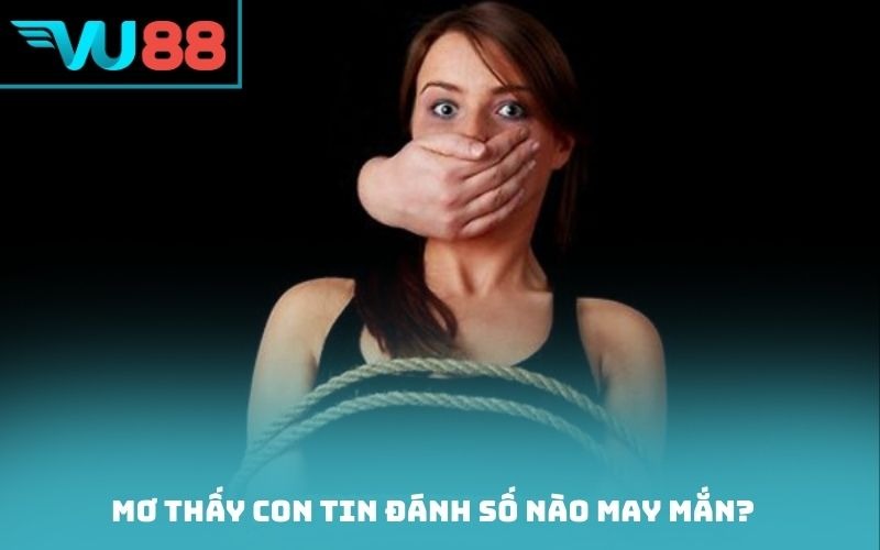 Mơ thấy con tin đánh số nào may mắn?