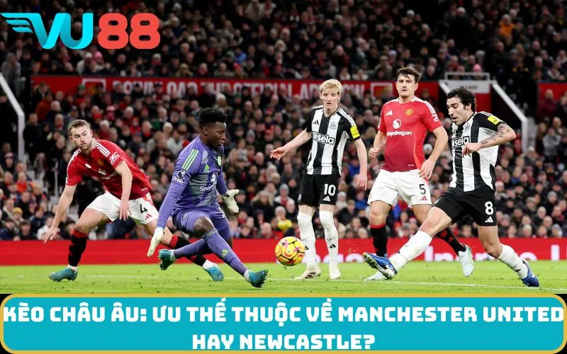 Kèo Châu Âu: Ưu thế thuộc về Manchester United hay Newcastle?