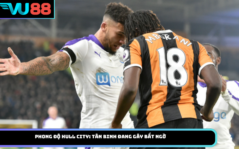 Phong độ Hull City: Tân binh đang gây bất ngờ