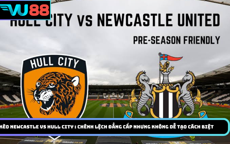 Soi kèo Newcastle vs Hull City : Chênh lệch đẳng cấp nhưng không dễ tạo cách biệt